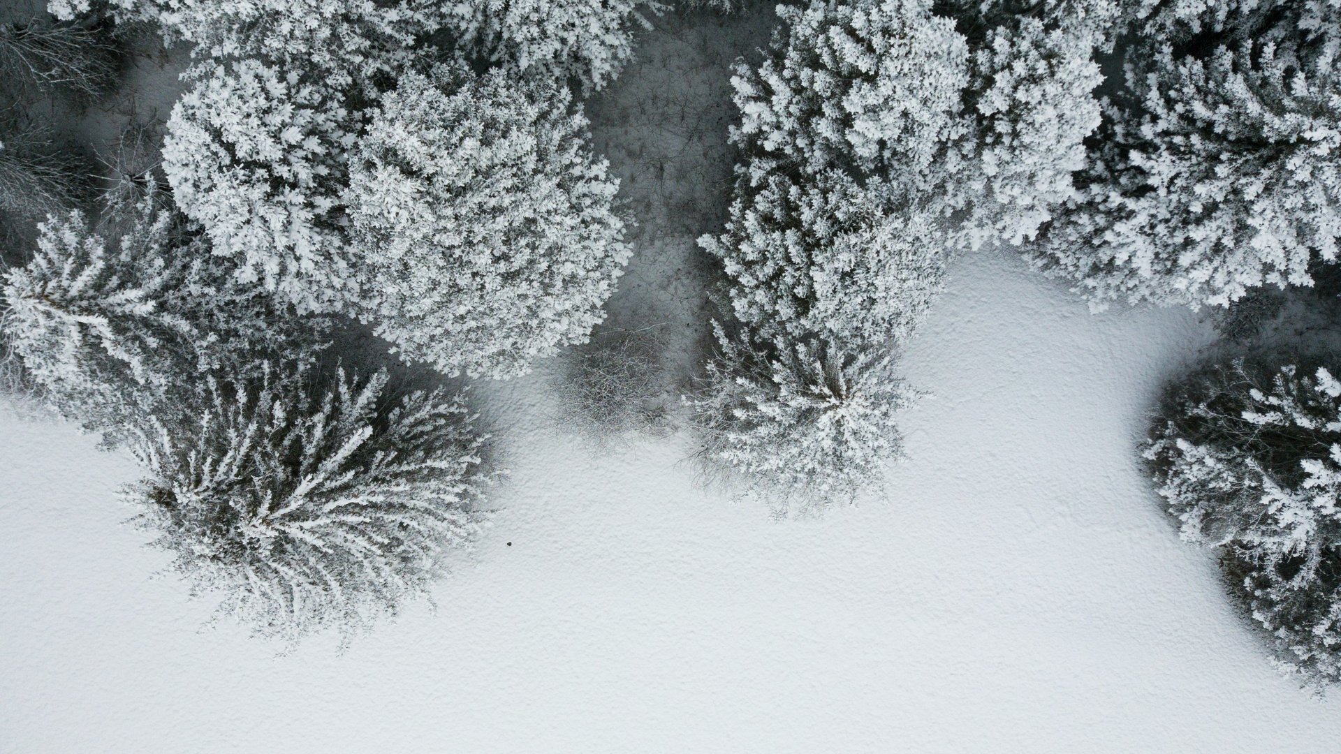 Votre semaine de ski dans la Vallée d’Aoste